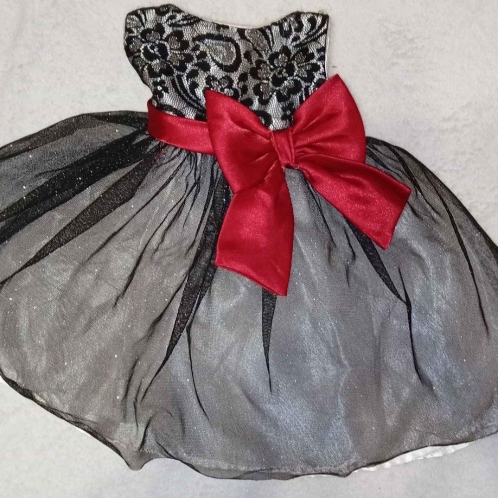 GORGEOUS NWOT Youngland Baby sz Newborn to 6-9 months Special Occasion Dress